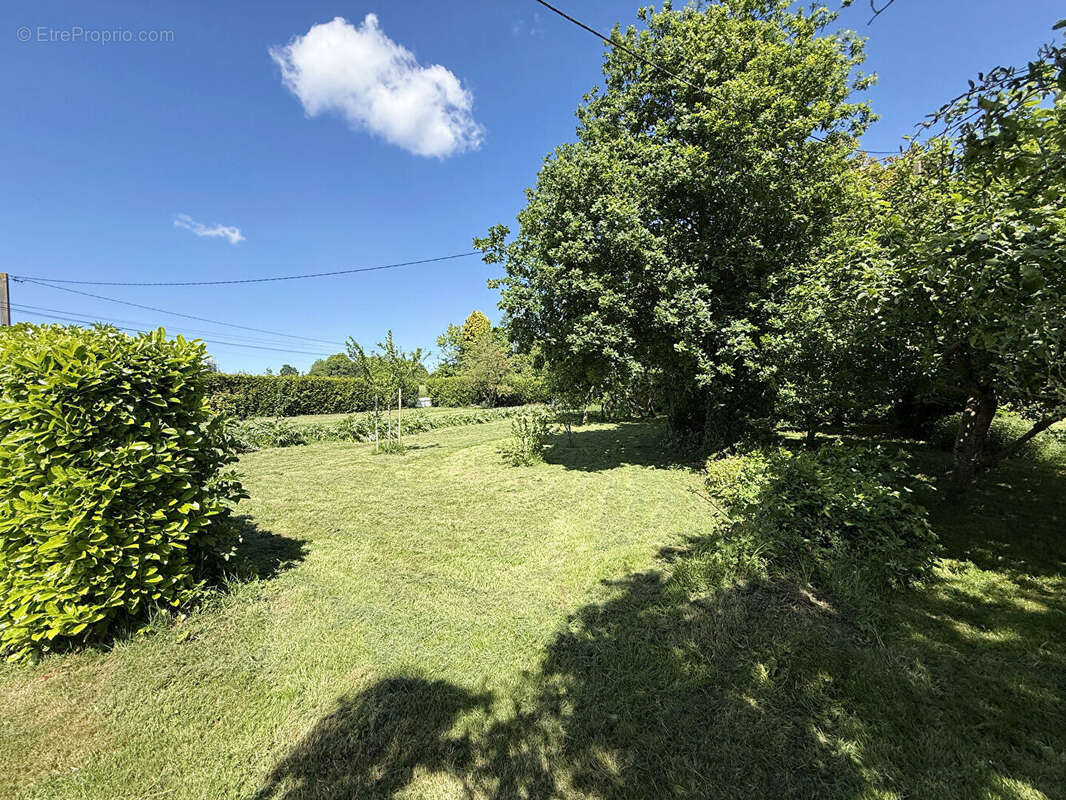 Maison de 1964, terrain 2520m2 - photo 12