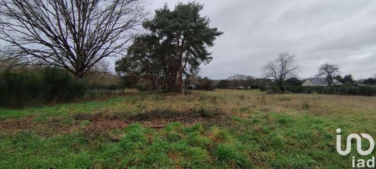 Photo 2 - Terrain à VILLEFRANCHE-SUR-CHER
