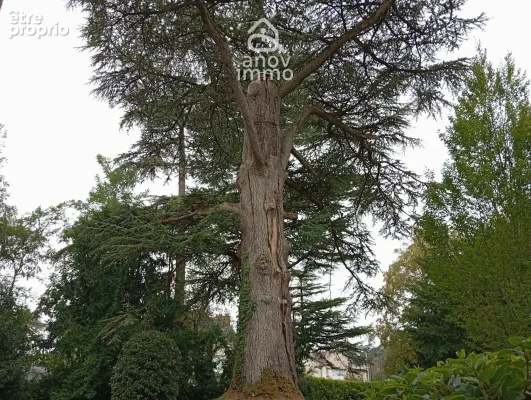 Appartement de 77,57m2 situé à Tours-Nord à proximité du Tra - photo 13