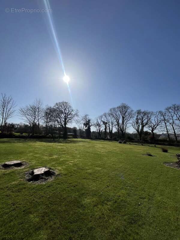 Commerce à LE VIEUX-MARCHE