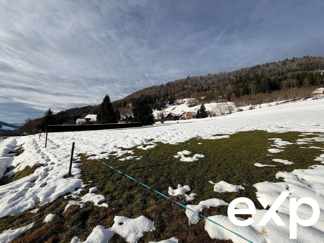 Terrain à HABERE-POCHE