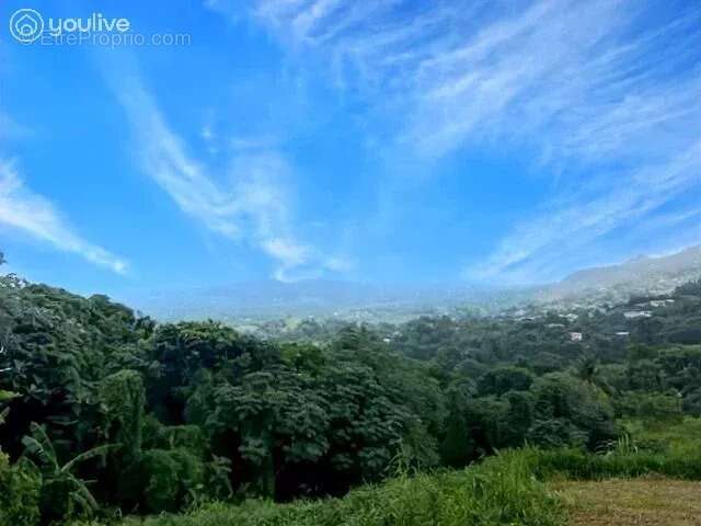 Terrain à LE LAMENTIN