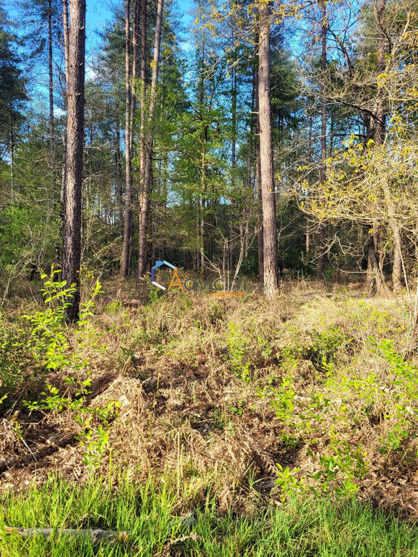 Terrain à NEUVY-SUR-BARANGEON