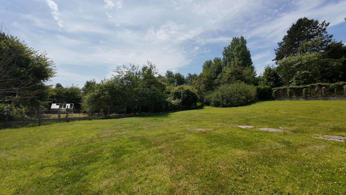 Terrain 630 m2 à vendre Veulettes sur mer - photo 4