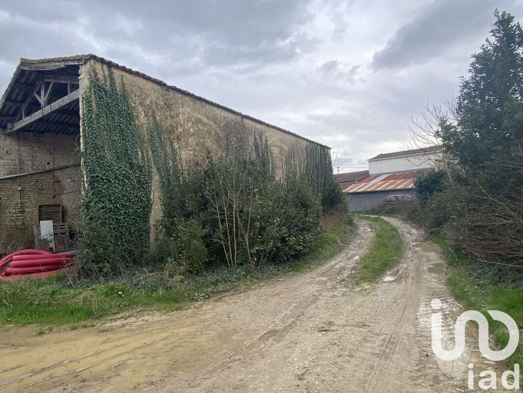 Photo 2 - Terrain à VERINES