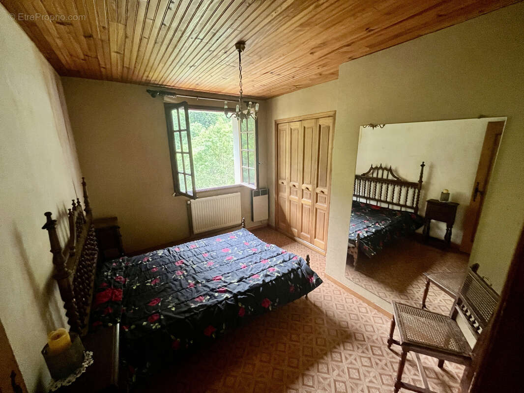 Grande maison familiale avec gîte indépendant, terrasses et jardin à Sainte-Colombe-sur-Guette - photo 41