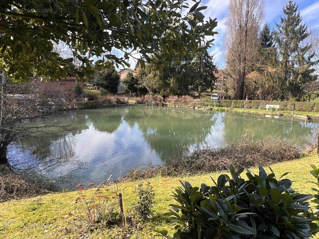 Terrain à CHASSENEUIL-SUR-BONNIEURE