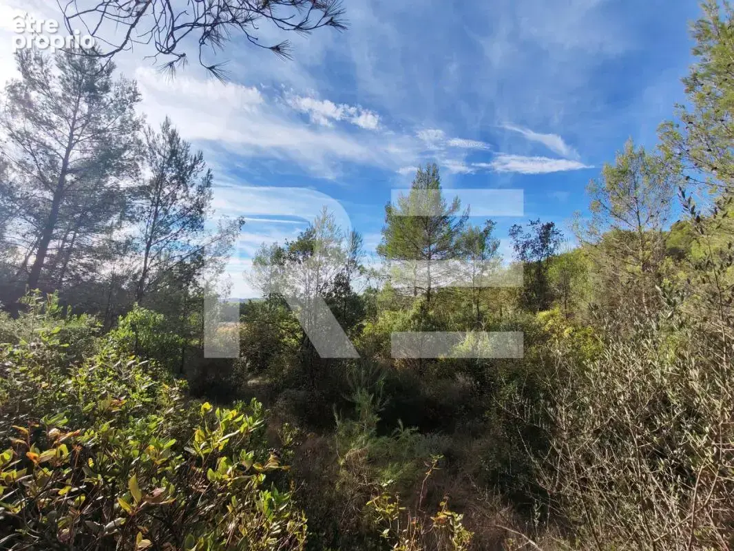 Terrain en zone naturelle sur la commune de Cannes et Clairan les Laouras - photo 4