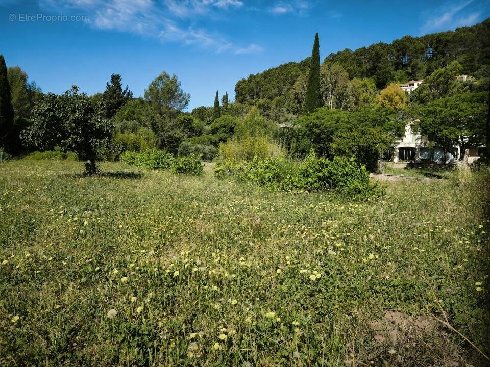 Terrain à SOLLIES-PONT