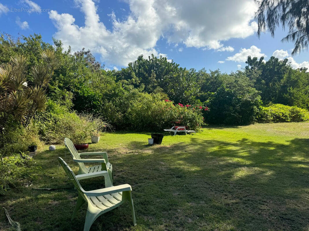 Terrain à SAINT-MARTIN