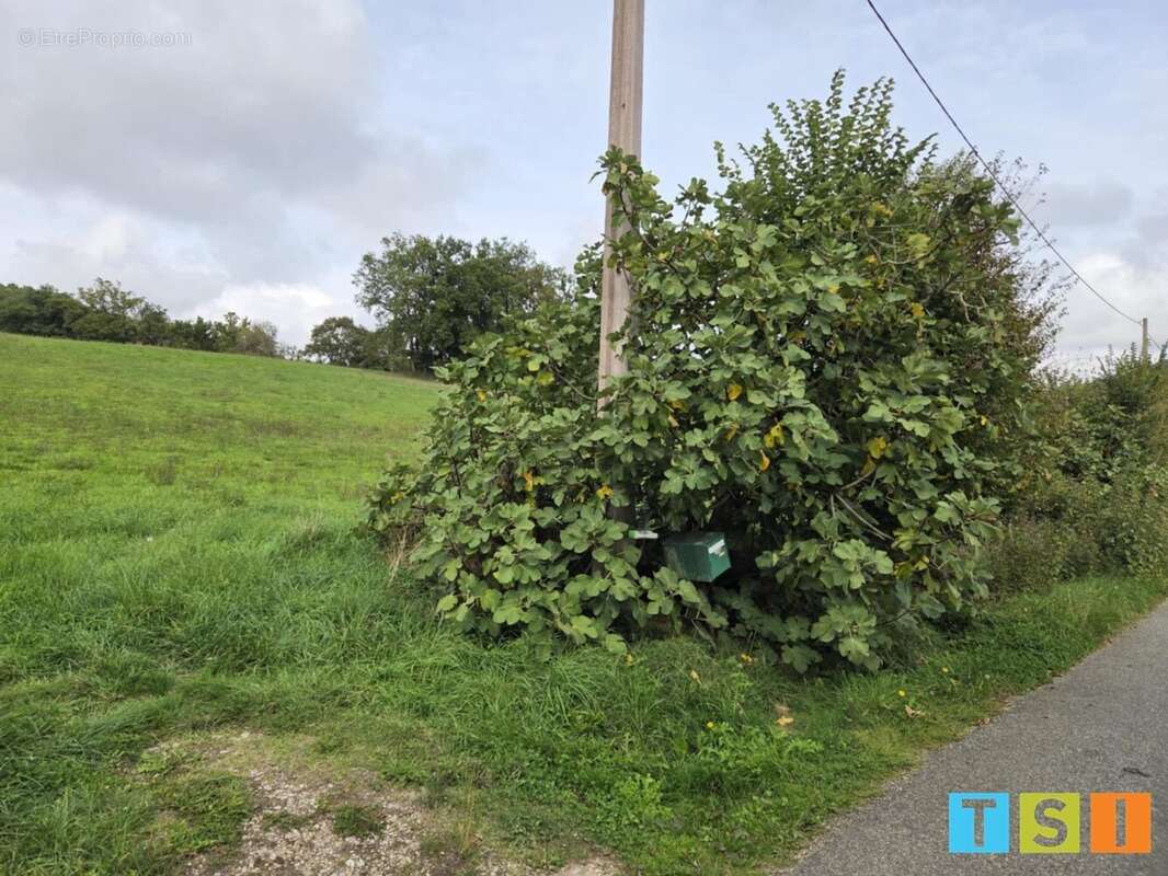 Terrain à SAINT-MARCET