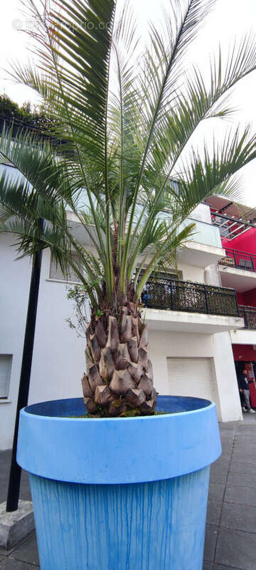 Appartement à BAYONNE