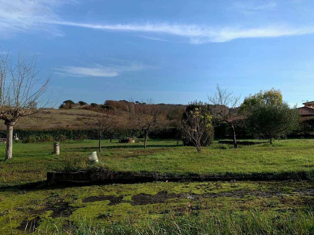 04 vue depuis la maison au SE du terrain  - Terrain à AUCH