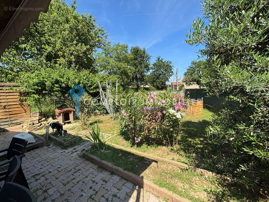 Maison à MONTCARRA