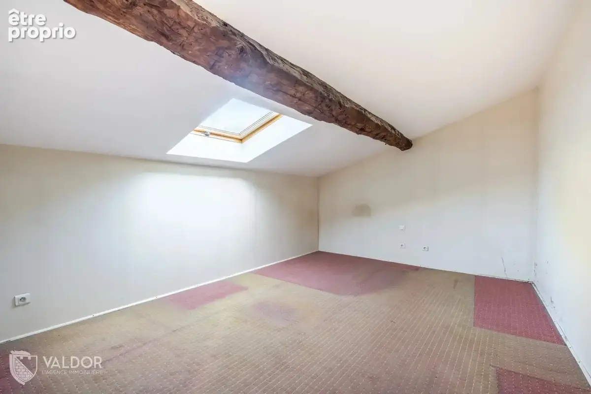 Genay centre - Maison familiale à créer - Jardin de 930 m² - photo 7