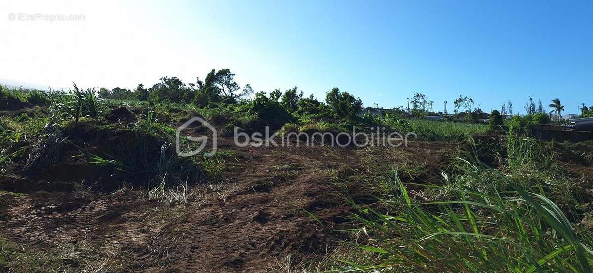 Terrain à BRAS-PANON