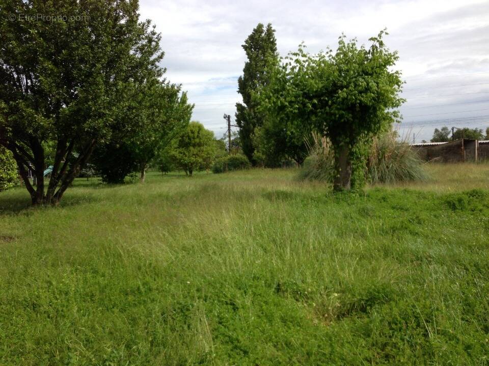 Terrain à SAINT-MARTIN-DU-BOIS