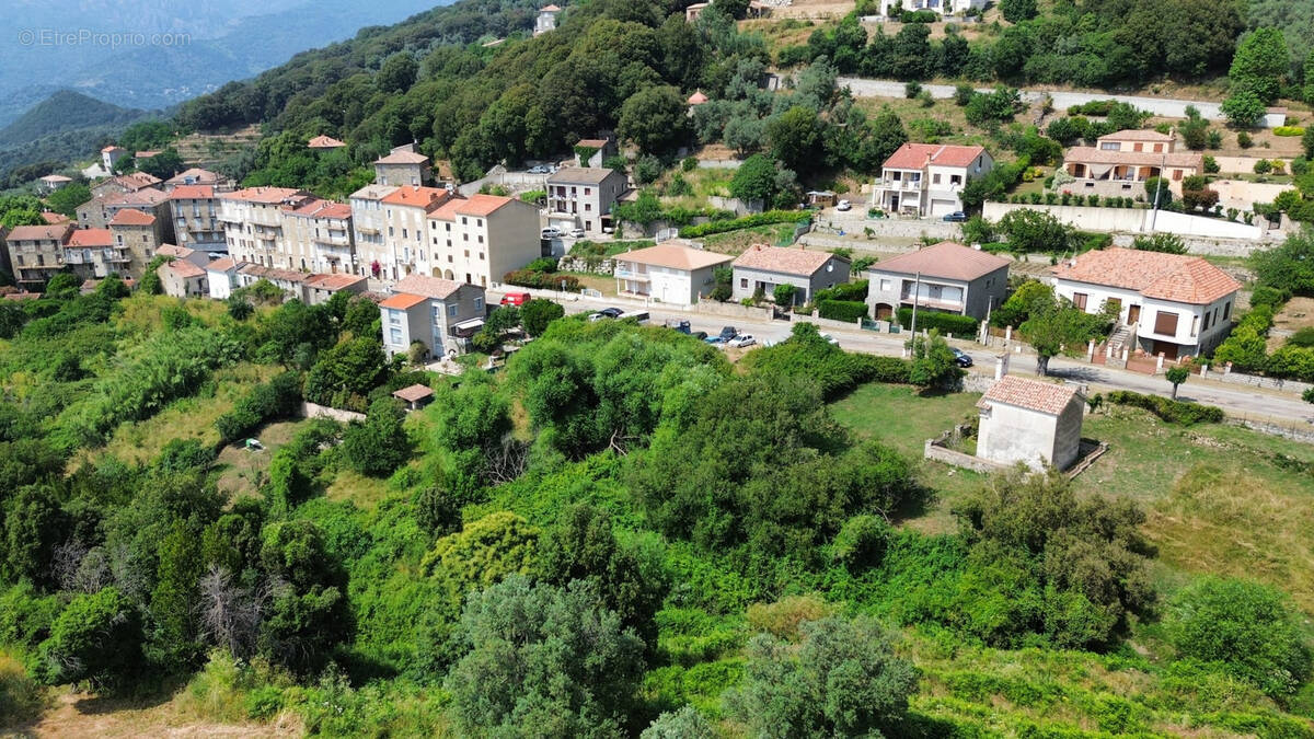 Terrain à SAINTE-LUCIE-DE-TALLANO