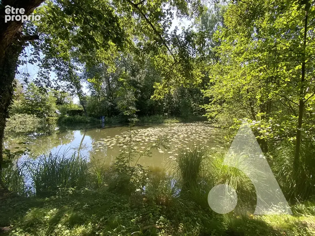 A vendre etang 3 040m² - photo 2