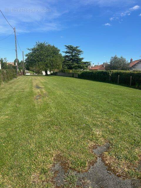 IMG4020 - Terrain à NIORT