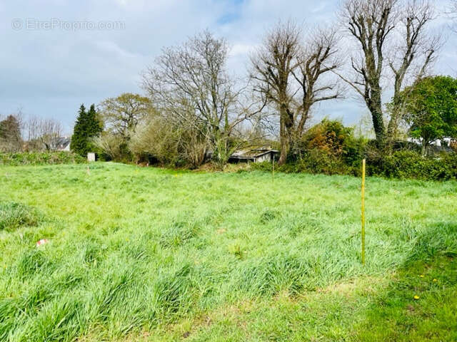 Terrain à CLOHARS-FOUESNANT