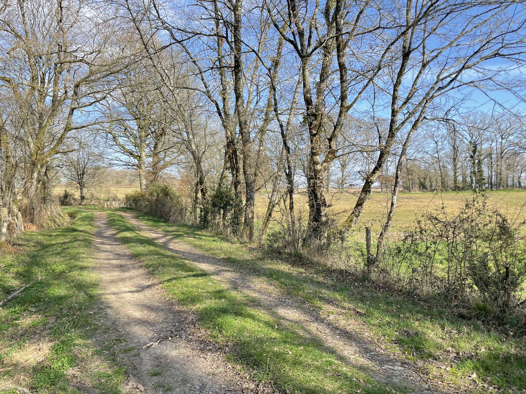 Terrain à BRILLAC