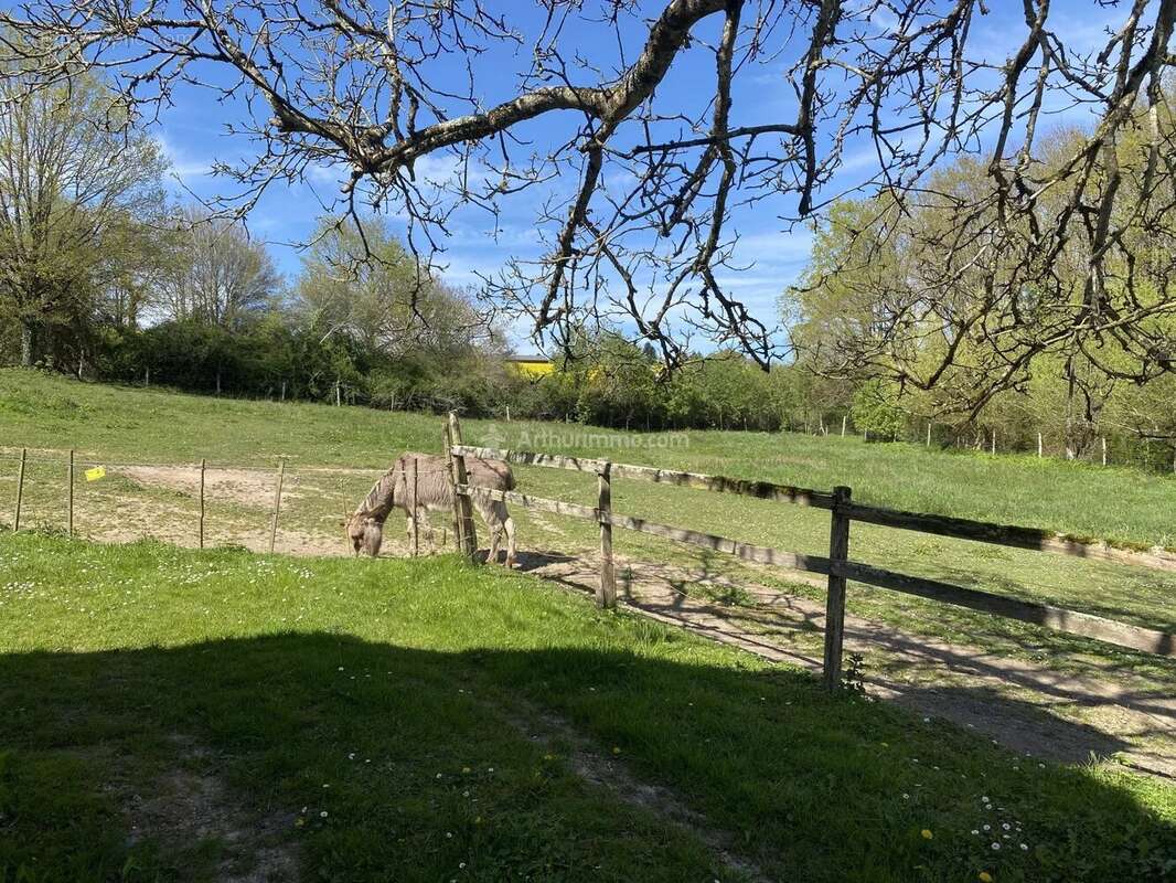 Maison à LA CHARTRE-SUR-LE-LOIR