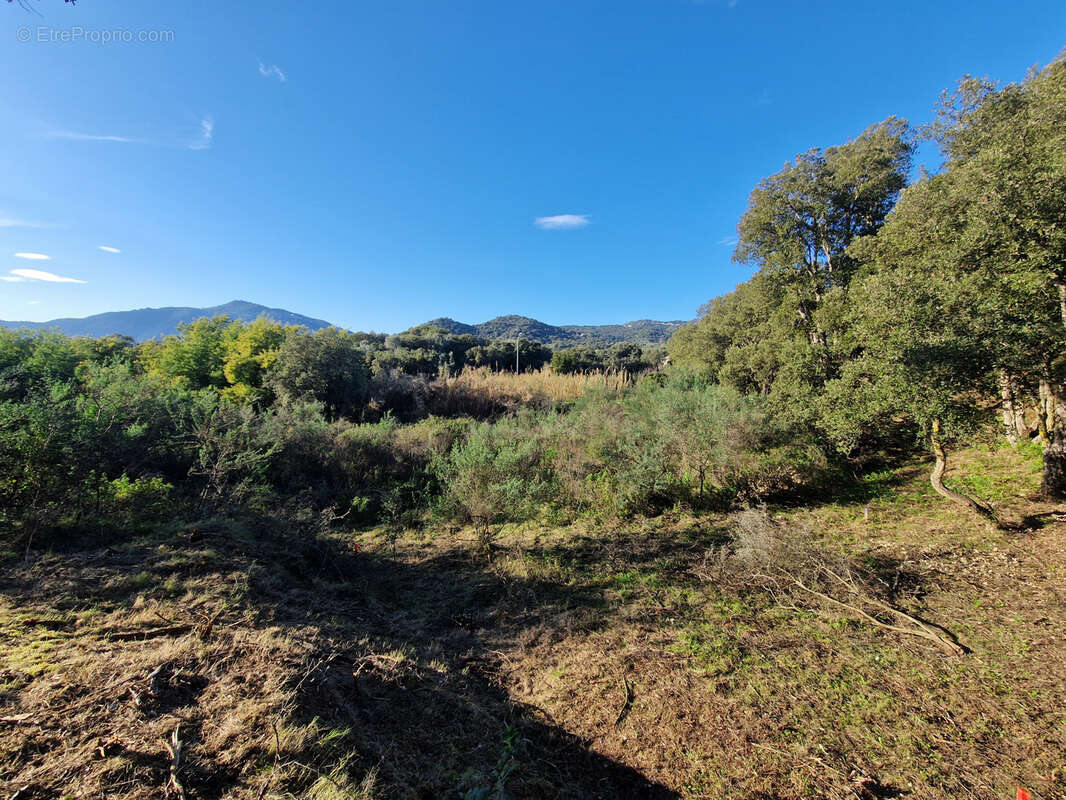 T2 suartello ajaccio - photo 4
