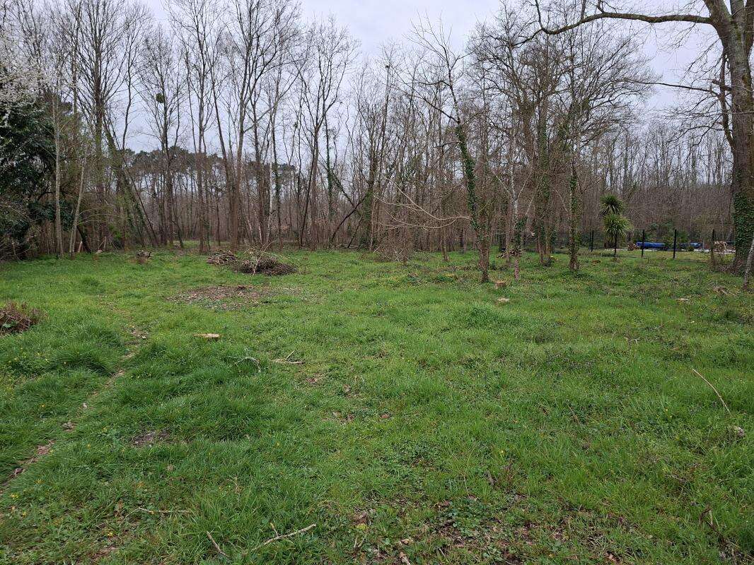 Terrain à bàtir ST SELVE 1500M² - photo 2