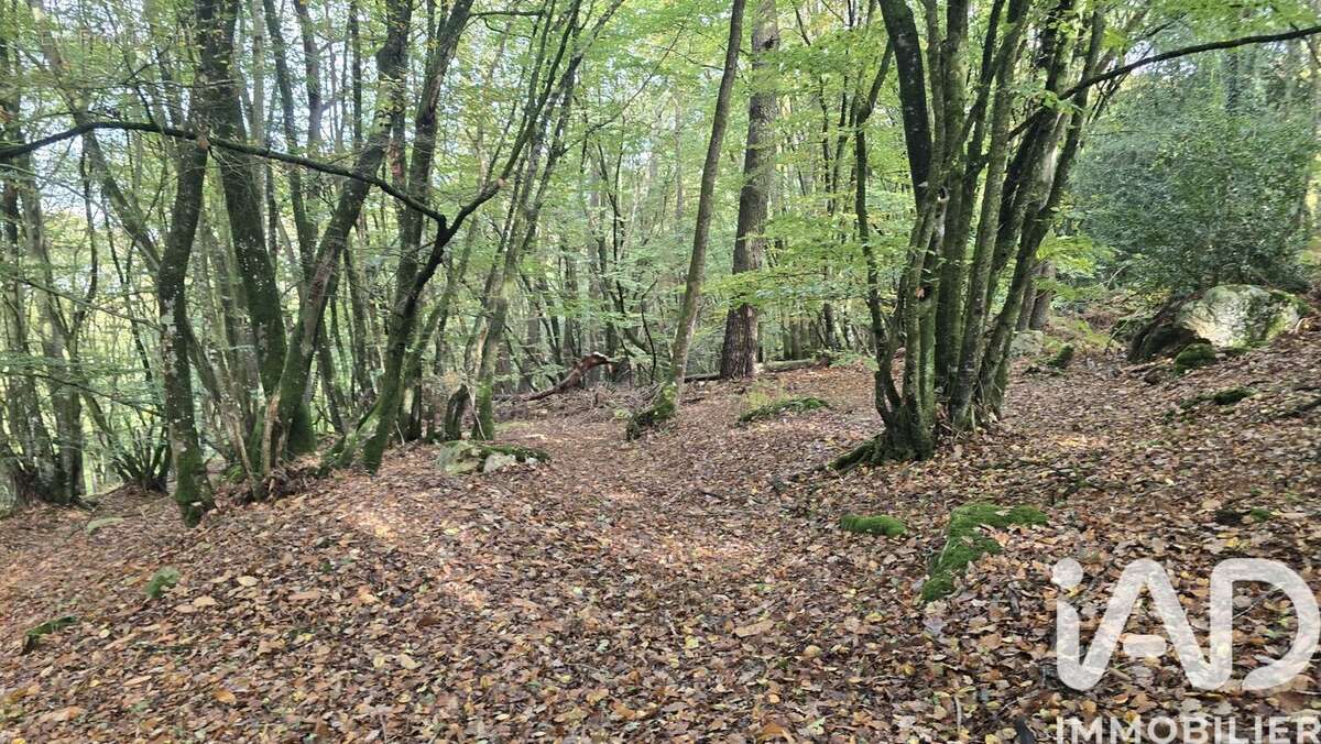 Photo 5 - Terrain à VIEUX-VY-SUR-COUESNON