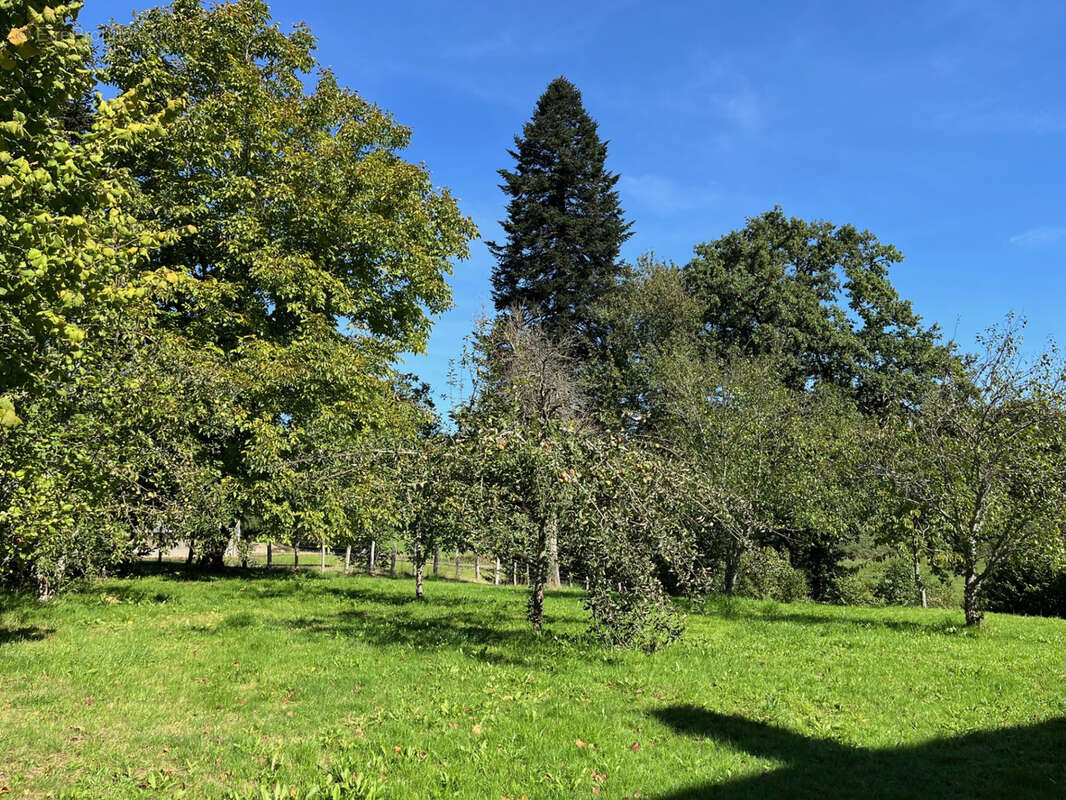 Maison à LA CROISILLE-SUR-BRIANCE