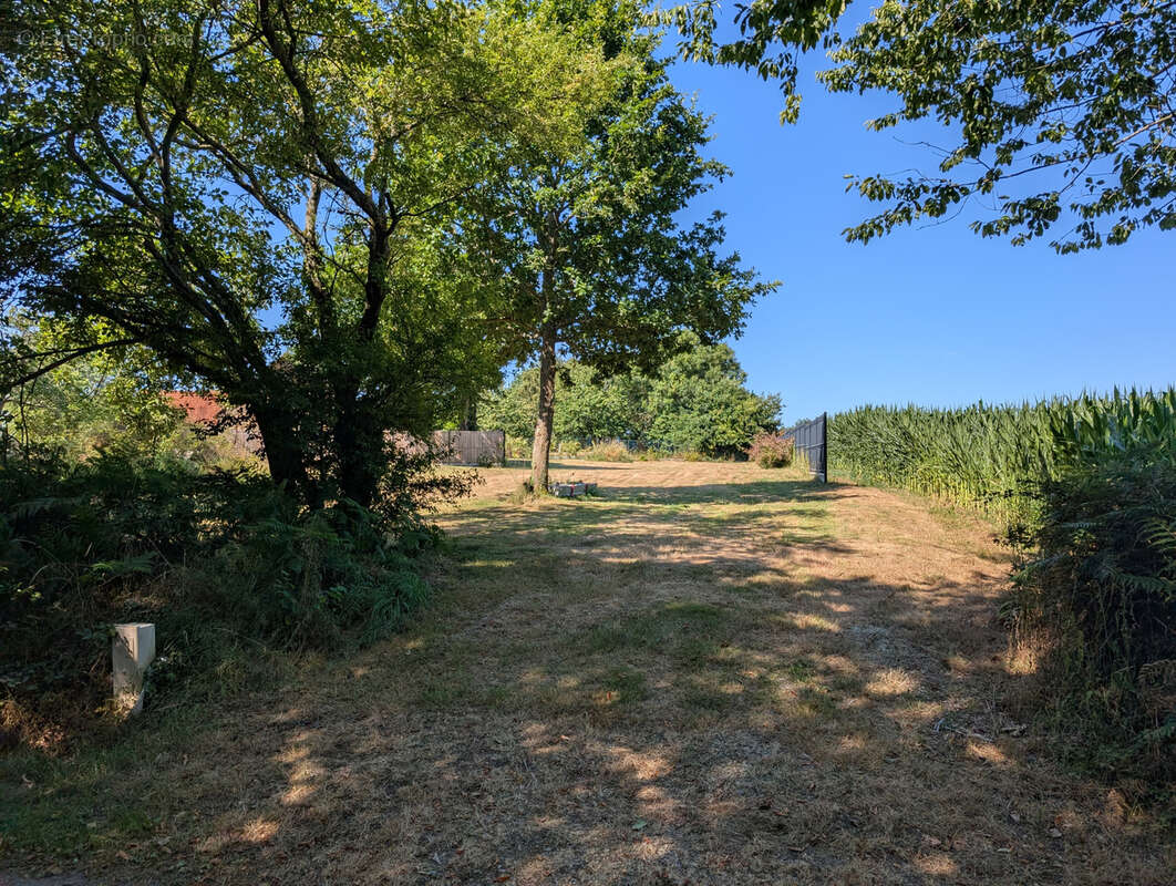 Terrain à PONT-SCORFF