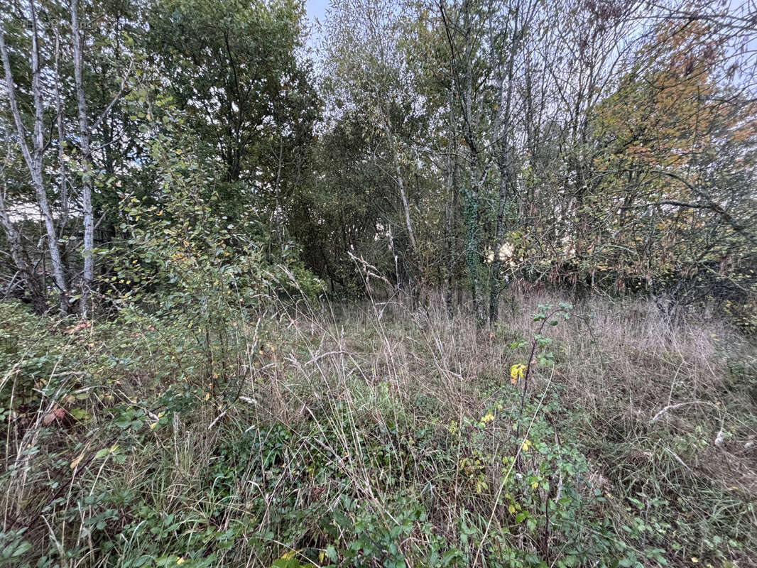 Maison à LE CELLIER