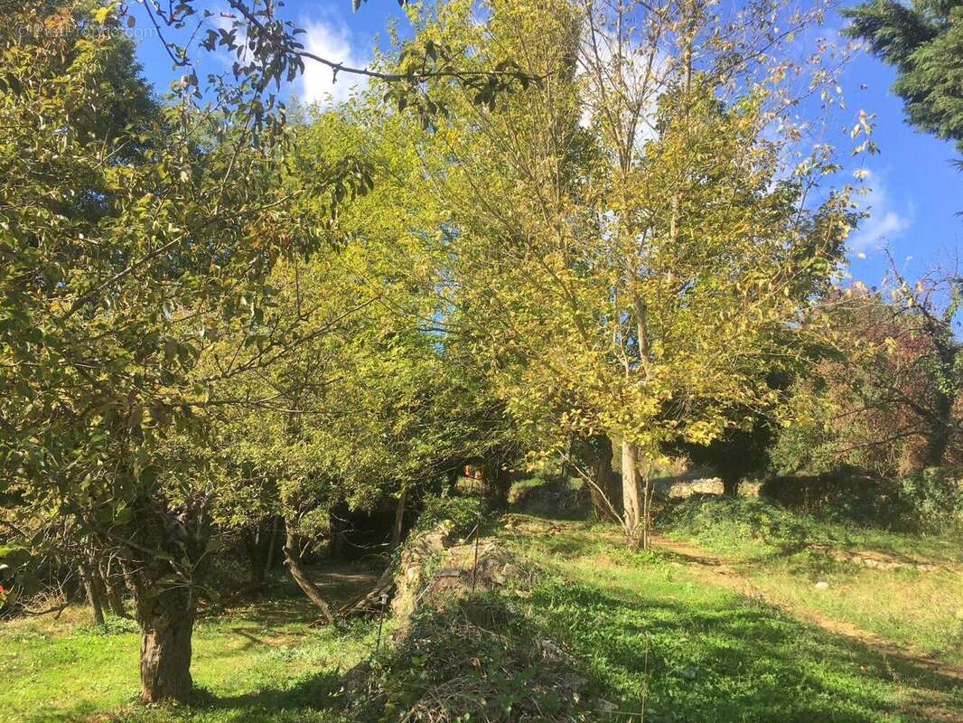   - Terrain à VESSEAUX