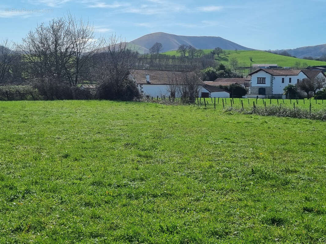 Terrain à ARMENDARITS