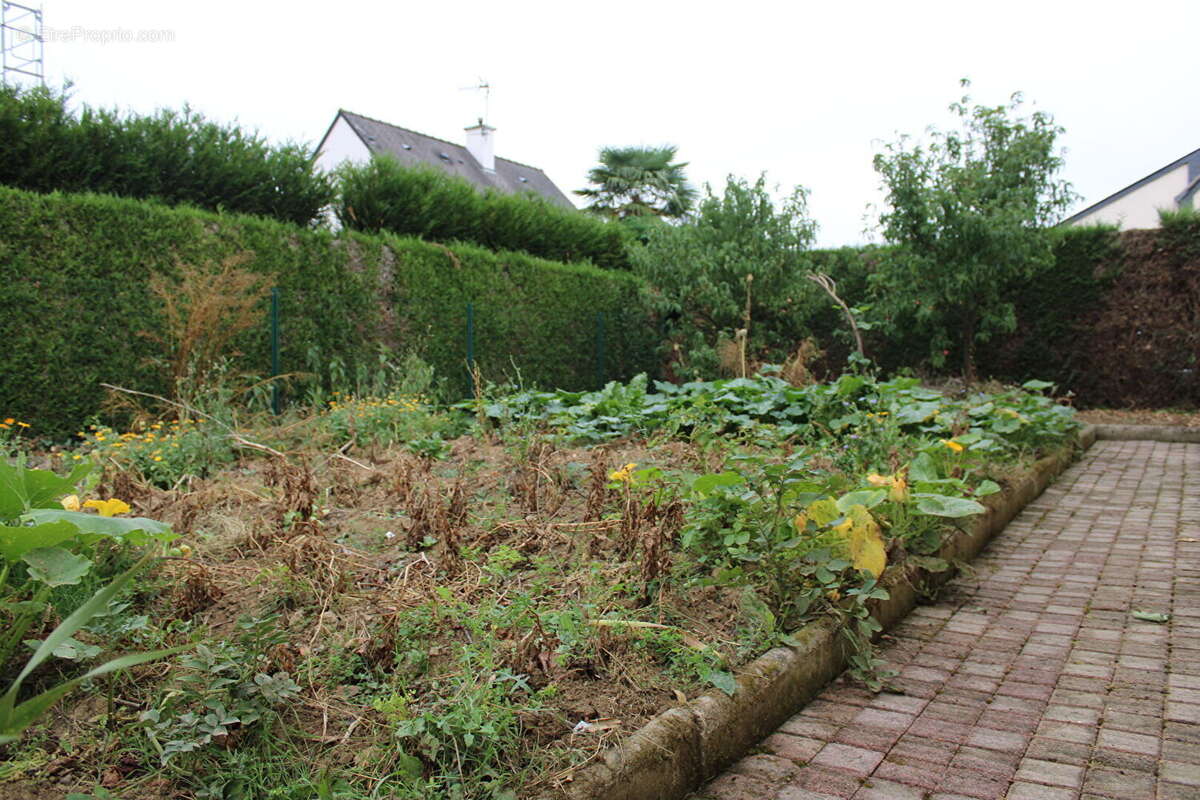 Maison à LA GUERCHE-DE-BRETAGNE