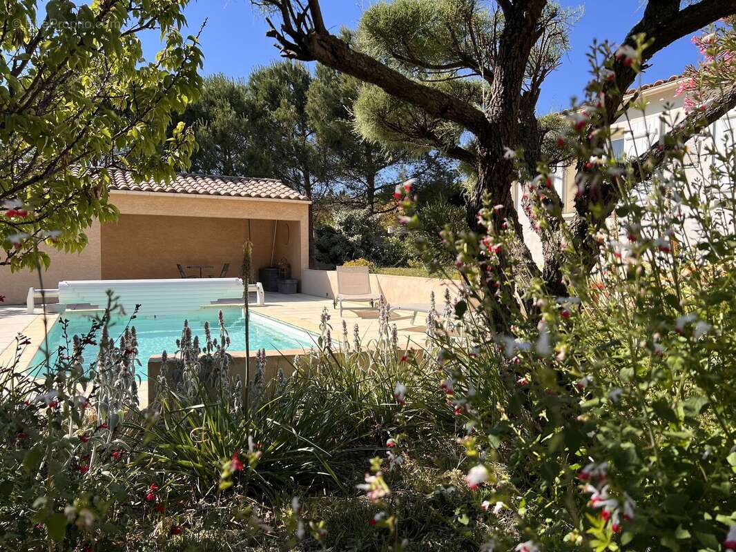 Maison de Plain-Pied avec Piscine aux Portes de Carcassonne - photo 15