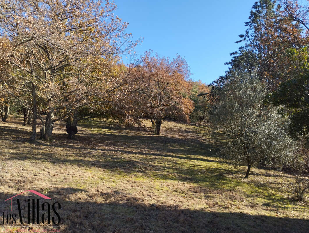 Mas au coeur des Albères à 5 mn de Céret - photo 16