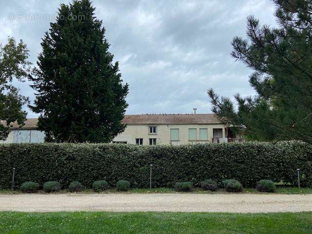 Terrain à SAINT-REMY-DE-PROVENCE