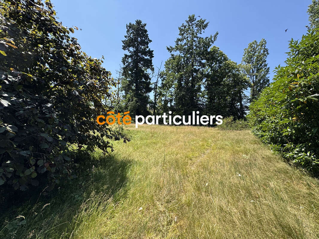 Terrain à SAINT-DENIS-EN-VAL