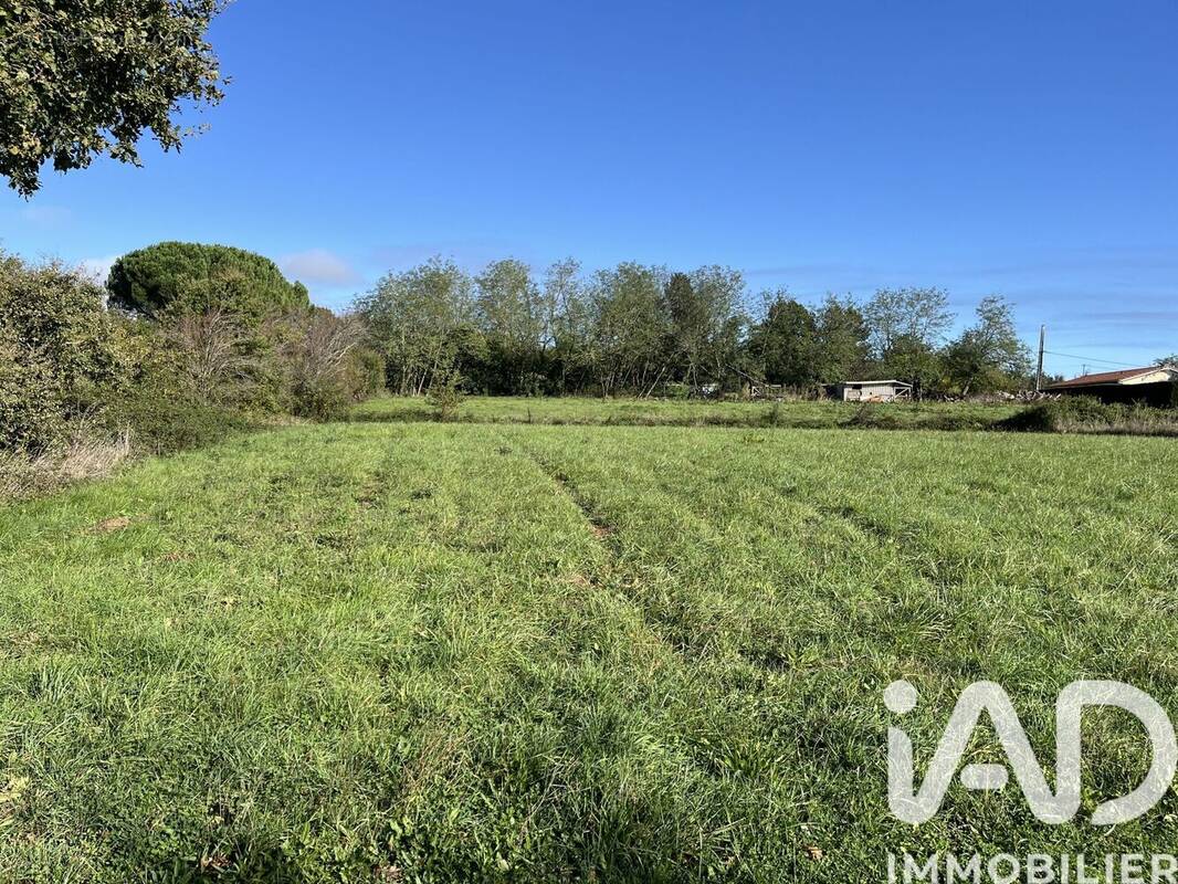Photo 1 - Terrain à GONDRIN