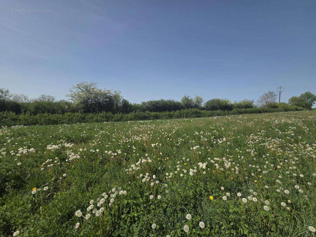 Maison à ANGLARS-SAINT-FELIX