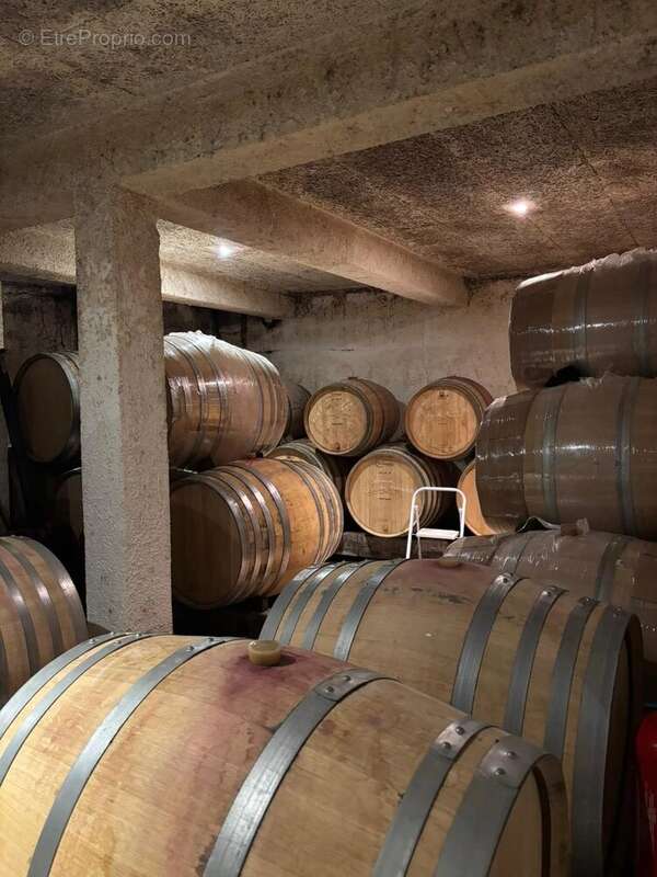 Cuverie dans un village viticole - photo 2