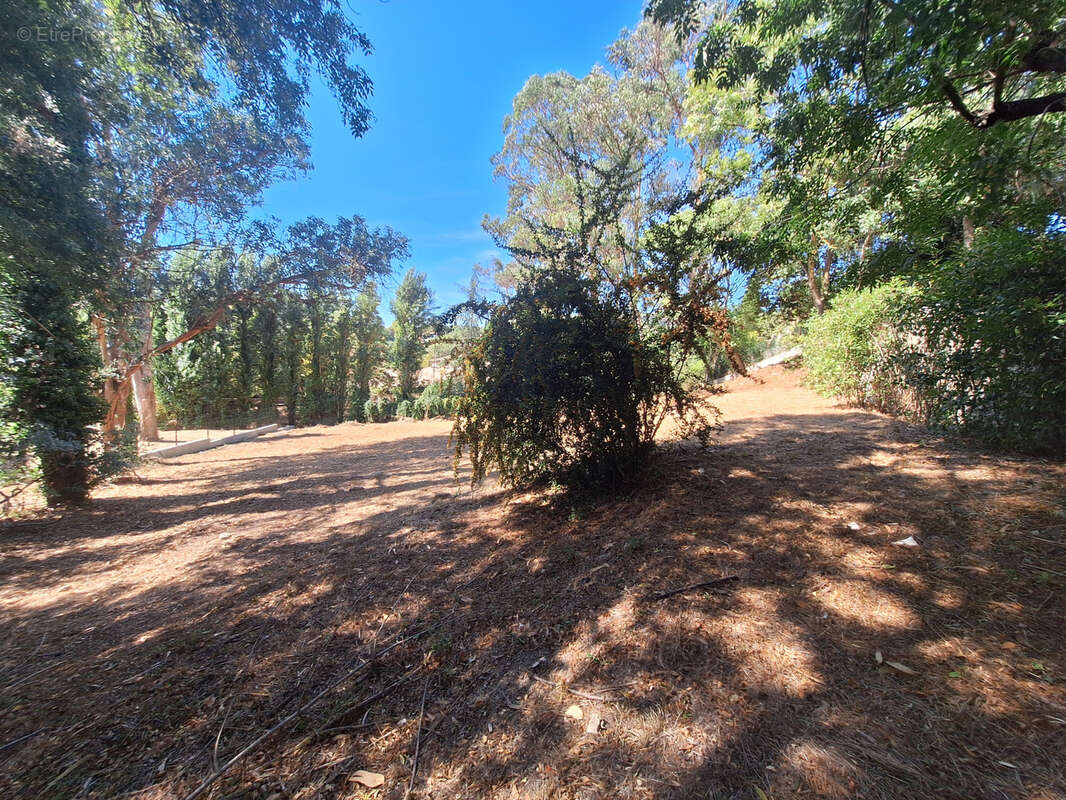 Terrain à SAINT-PAUL