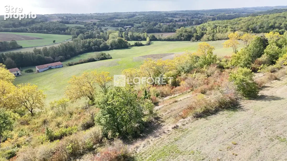 Propriété de 116 hectares !!!  20 minutes Est de Montauban - photo 3