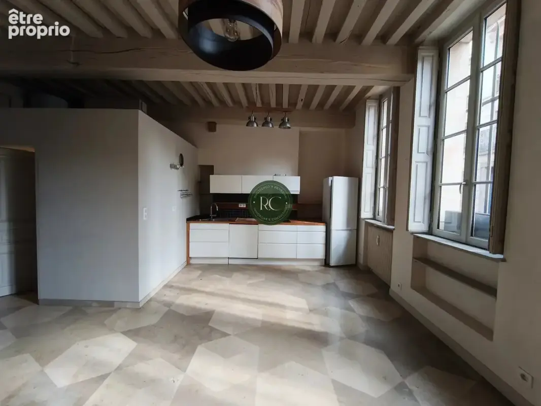 Dijon appartement hotel particulier antiquaires - photo 4