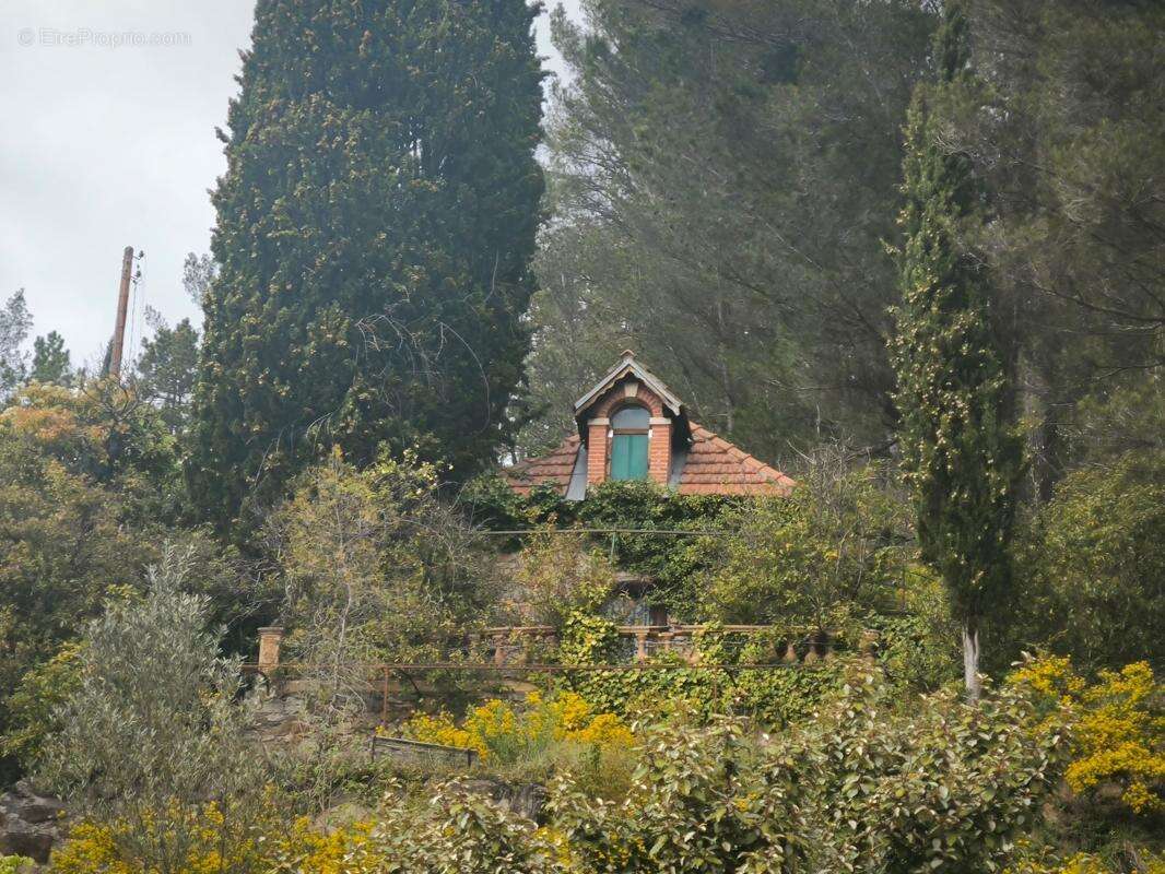 Villa + terrain de 9500 m2 + garage+  sources d'eau - photo 14