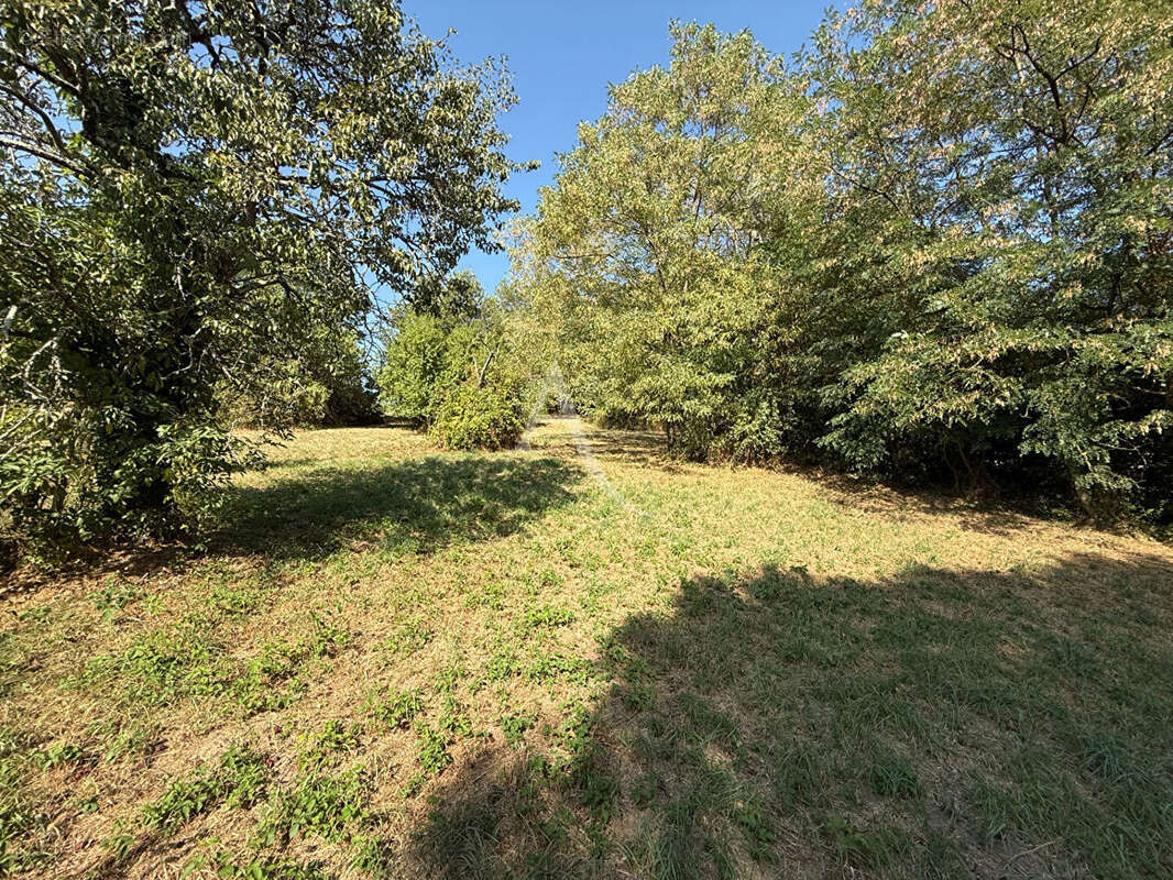 CARMAUX. Terrain de 3259 m² - photo 2