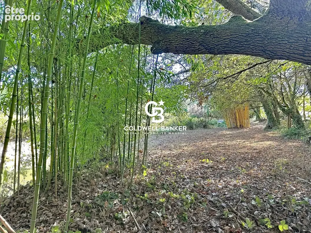 Nature Lumineuse et Sérénité.  Entre Golf et Océan - photo 11
