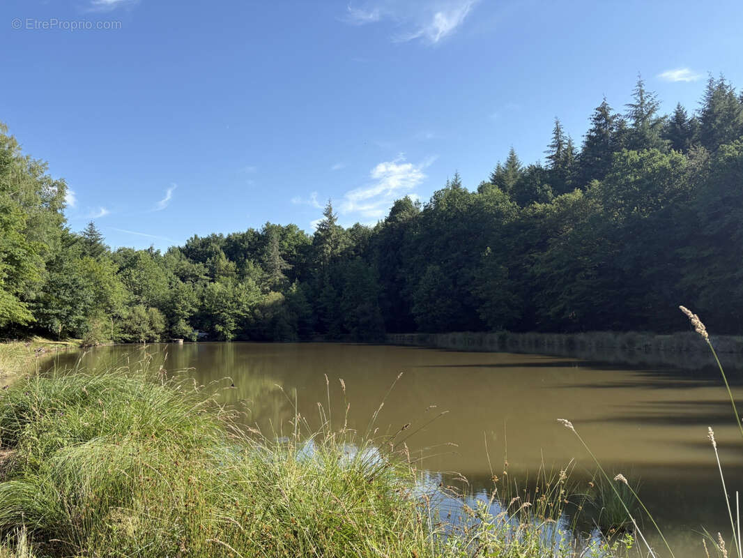Bussière Galant un étang de loisir avec 1.4 ha de terrain boisé - photo 3